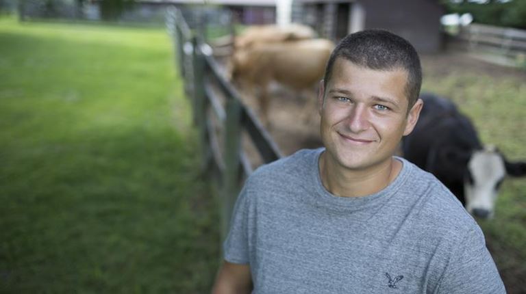 man with cows