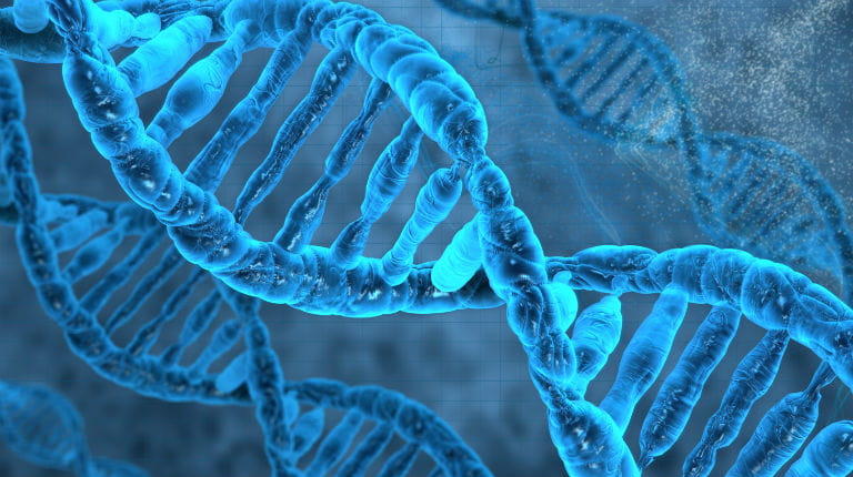 3D Visualisation of DNA