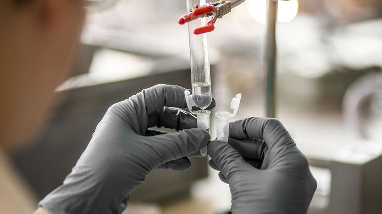 Bern researcher viewing sample
