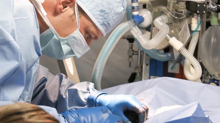 Transplant surgeon